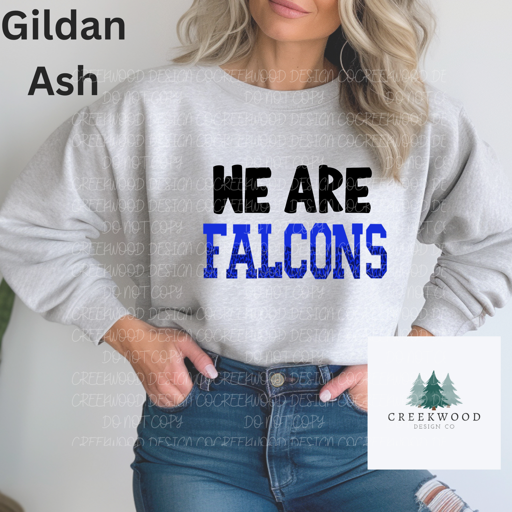 We Are Falcons