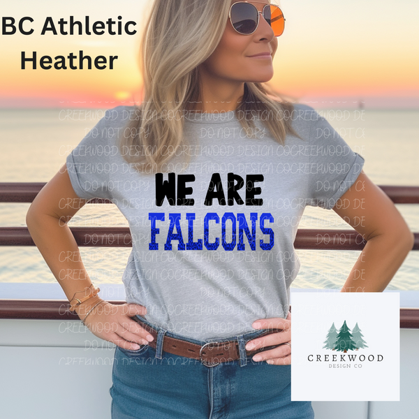 We Are Falcons