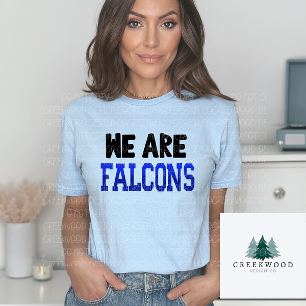 We Are Falcons