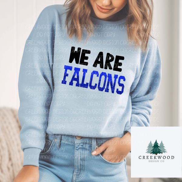 We Are Falcons