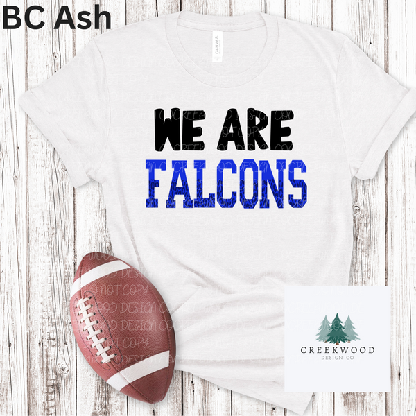 We Are Falcons