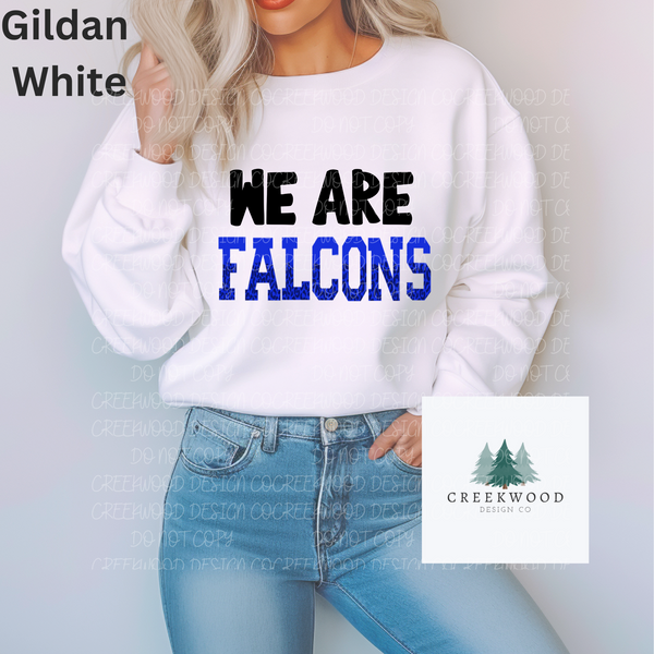 We Are Falcons