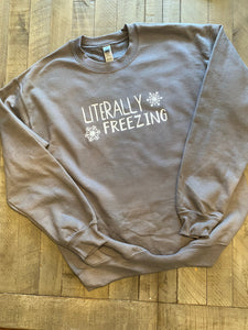 Literally Freezing Sweatshirt CDC140